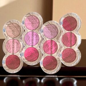 bright blusher kit